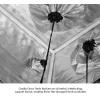 Gorilla Grow Tents at DepotEco.com